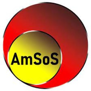 AmSoS