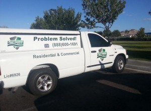 Professional Printing Solutions