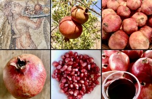 Pomegranate is Fruit Of The Year 2024