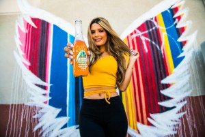 AZTEC Beverage Company Launches Pancho Villa Brand Sodas - Savor Authentic Mexican Flavors