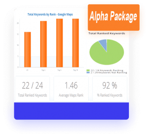 Maps SEO, How to rank in Google Maps?  Check out our free index checking tool!