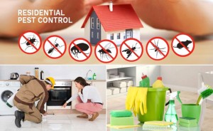 Pest Control Technicians Green Bay
