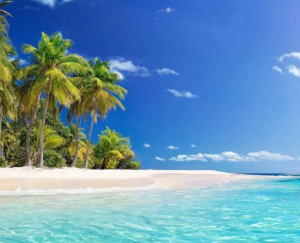 beach scene Peel and Stick Wall Murals