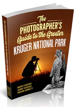 Photographers Guide to the Kruger Park