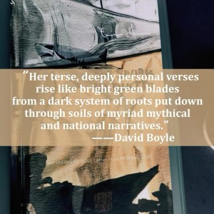 In a Small Bookstore in Istanbul