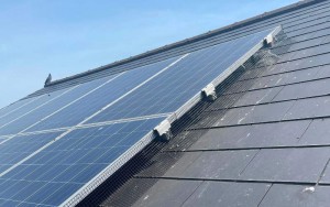 Bird Deterrents for solar panels