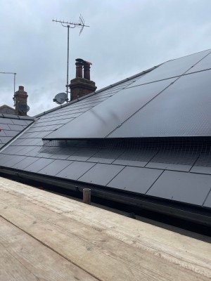 Bird proofing domestic solar panels