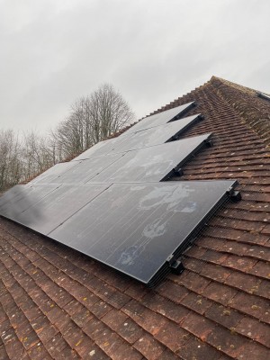 Bird proofing solar panels, Kent