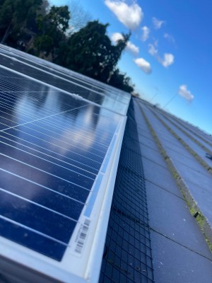Solar Panel Bird Proofing Kent