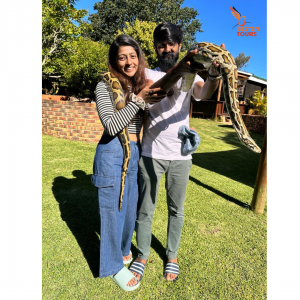 Besten Tours Clients, Tour Packages