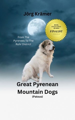 Jörg Krämer Named Finalist in Book Excellence Awards for 