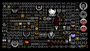 Festivals & Accolades