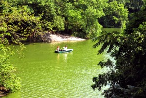 Richard Liebowitz CameraCares pic