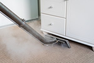Professional Frederick Carpet Cleaning Services