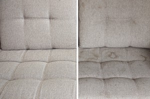 Upholstery Cleaning Frederick County Carpet Cleaning