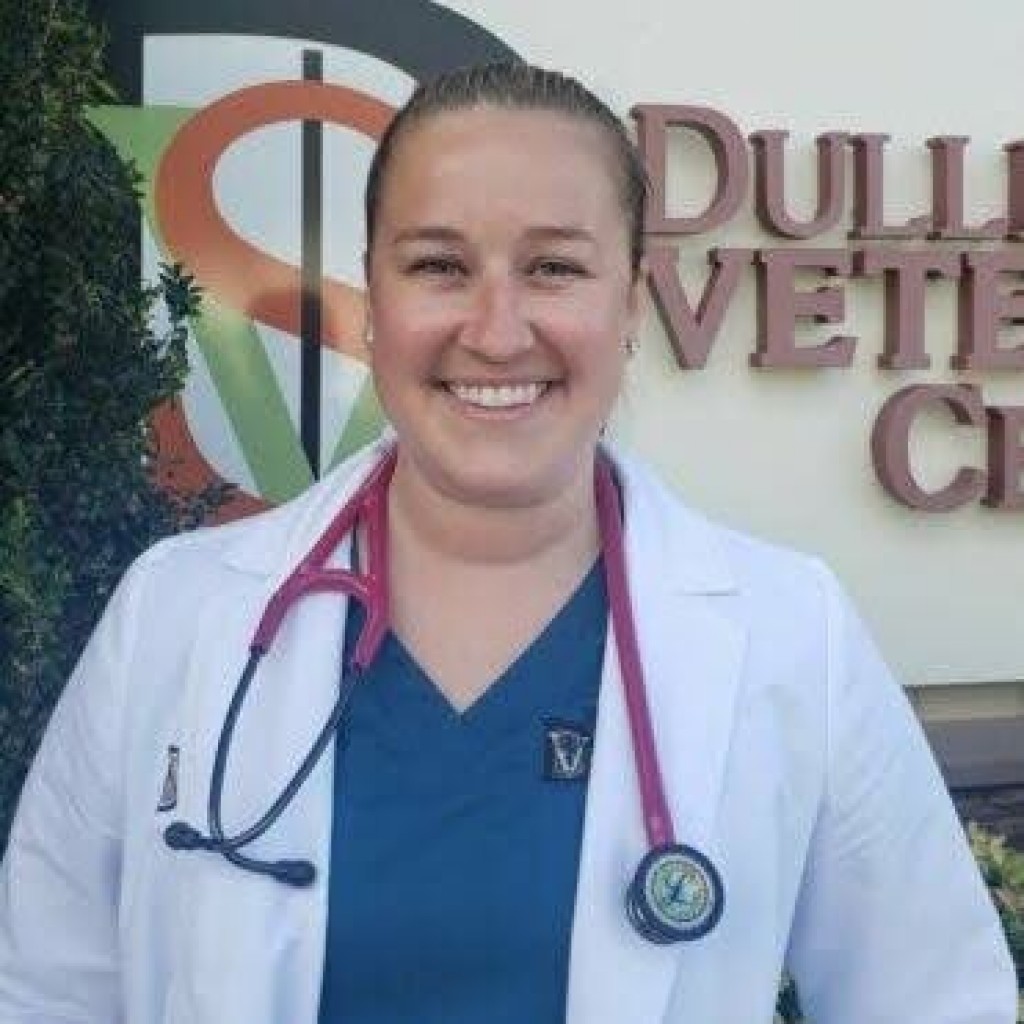Lauren Woodworth, DVM, Medical Director of Dulles South Veterinary Center IssueWire