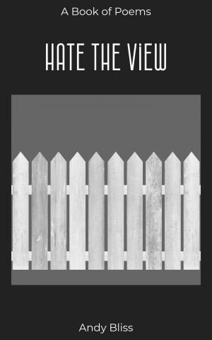 Hate the view original