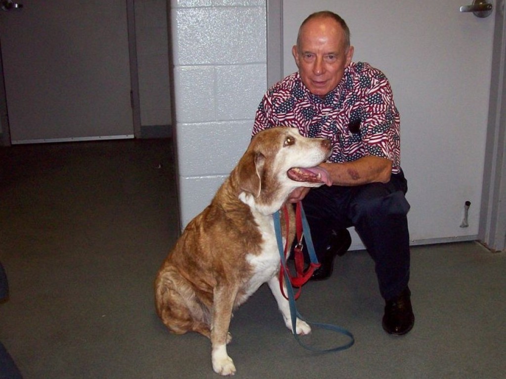 Total Hip Replacement Enables Dog to Keep on Running IssueWire