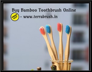 Buy Eco friendly Toothbrush Online | Wooden Toothbrush – Terrabrush.in