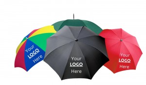 WhatsApp Image 2024 04 11 at 10 38 09 PM 3