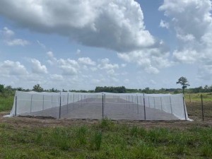 User case of INSONSHADE insect netting