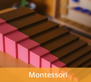 montessori new 7