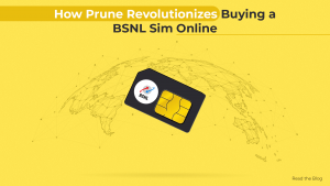 How Prune Revolutionizes Buying a BSNL SIM Online min