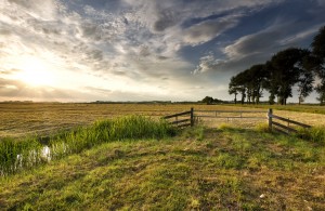 sunlight over dutch farmland in summer 2023 11 27 05 26 23 utc