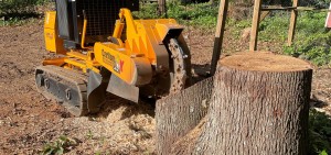Stump Grinding