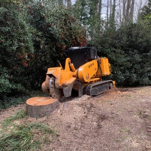 Stump Removal