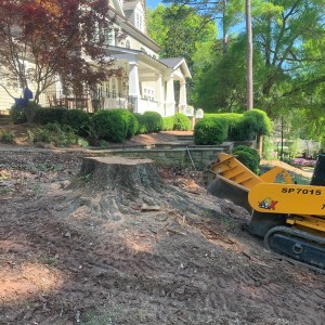 Stump Removal