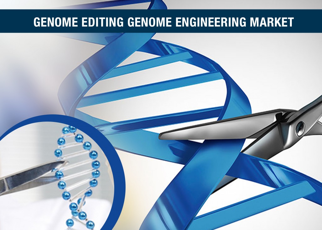 genome editing genome engineering market genome editing genome engineering market