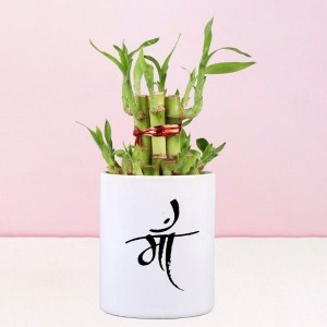 2 Layer Bamboo Plant In Maa Mug