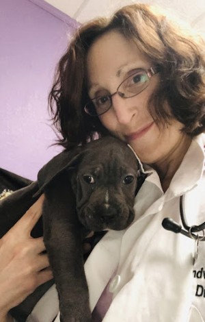 Elise Brandwajn, DVM, Embodies Compassionate Veterinary Care in Suisun City