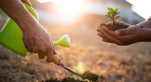 Sandugo sa Bohol 2023 conducts environmental activities WEB 1