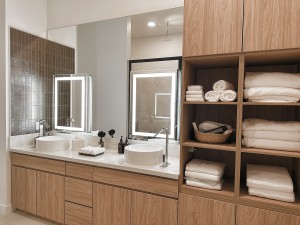 Three Bedroom Penthouse Bathroom Overview