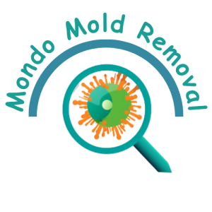 cropped Mondo Mold Removal 1