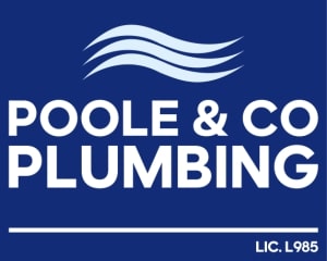 Color logo with background Copy 300x240