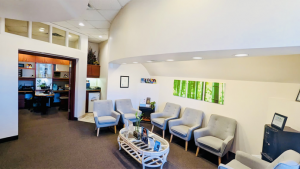 Blossom Dental  patient Treatment area