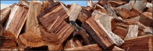 We Deliver Firewood: Offering Firewood in Blue Mountains!