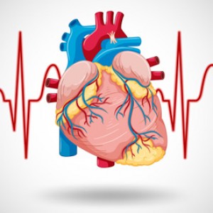 Cardiovascular Thorasic Surgery