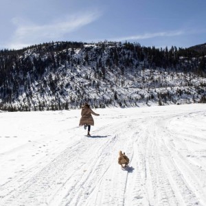 Photographic moment running off the puppy energy through the Rocky