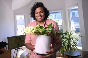 Introducing Neo Px, a Super Plant That Can Attack Air Pollution