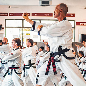 mixed martial arts training