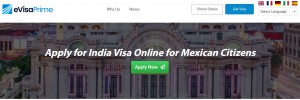 Reach India with the Fastest Possible Visa