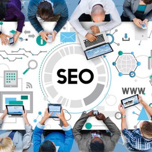 Next Level SEO Solutions in Delhi