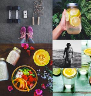 Perry Lieber Elevating Health and Fitness with Expertise and Passion