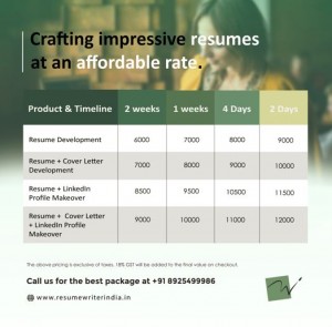 Resume Writer: Celebrating 15 Years of Excellence as a Premium Resume Building Brand 