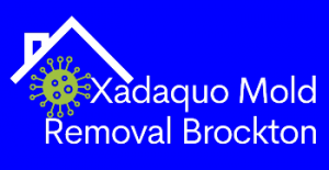 Xadaquo Mold Removal Brockton