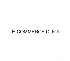 E-Commerce Click LLC: Your Trusted Partner in the Liquidation Industry